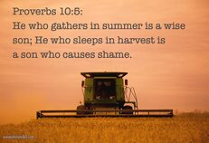Proverbs10_5